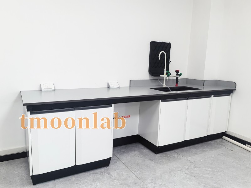 tmoonlab