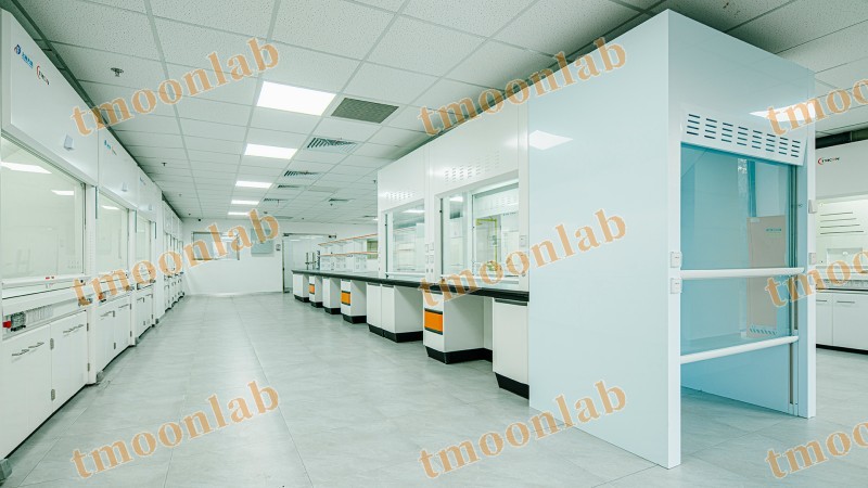 tmoonlab