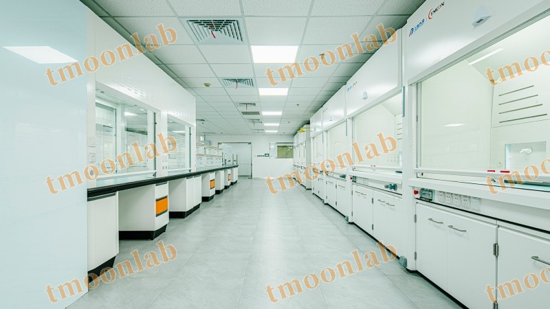 tmoonlab