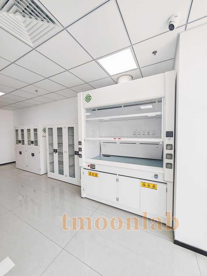 tmoonlab