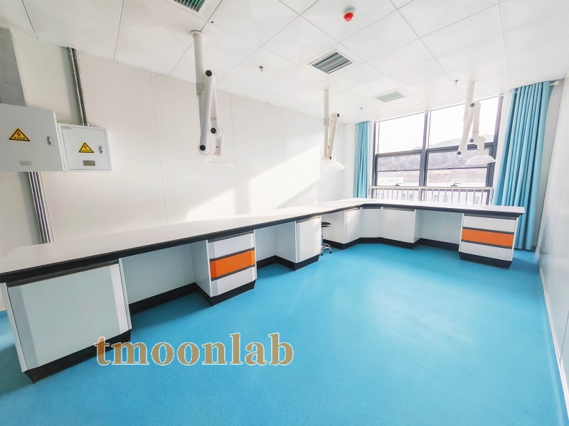 GMP药品研发实验室设计公司整体解决方案-TMOON